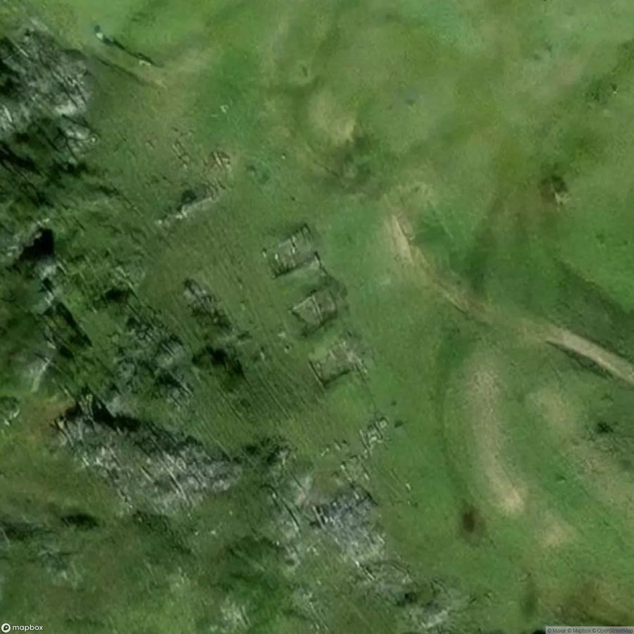 Ruins Woods [AUT] #11681