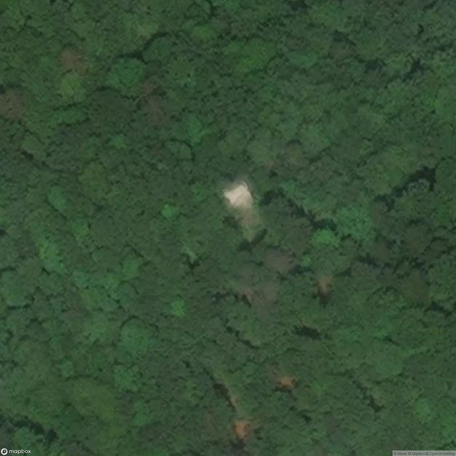 Saxenegg Castle Ruins [AUT] #09525