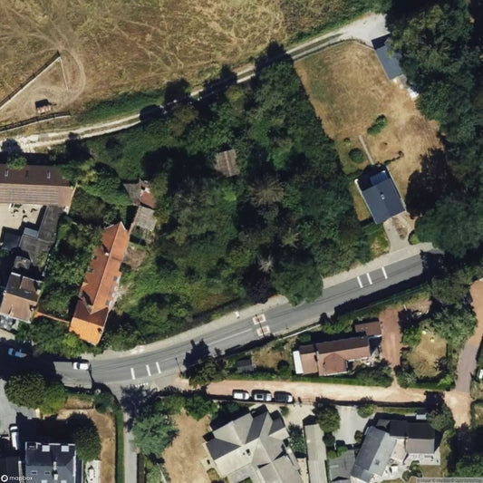 Red Curtain Farm [BEL]