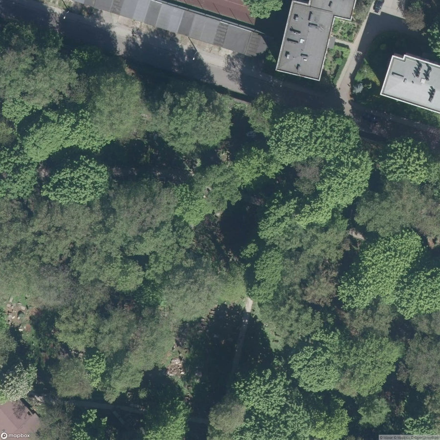 Historic Cemetery Old Jewish Cemetery Krakow [POL] #2021