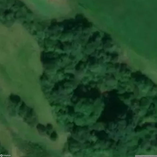 Yatton Keynell Quarry [GBR]