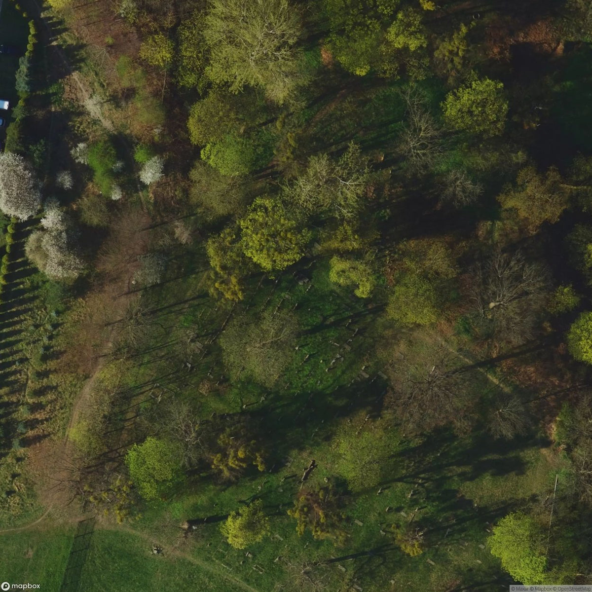 Historic Cemetery Gdansk [POL] #2014