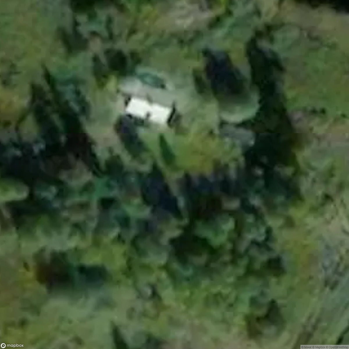 Lost House In Woods [SWE] #33403