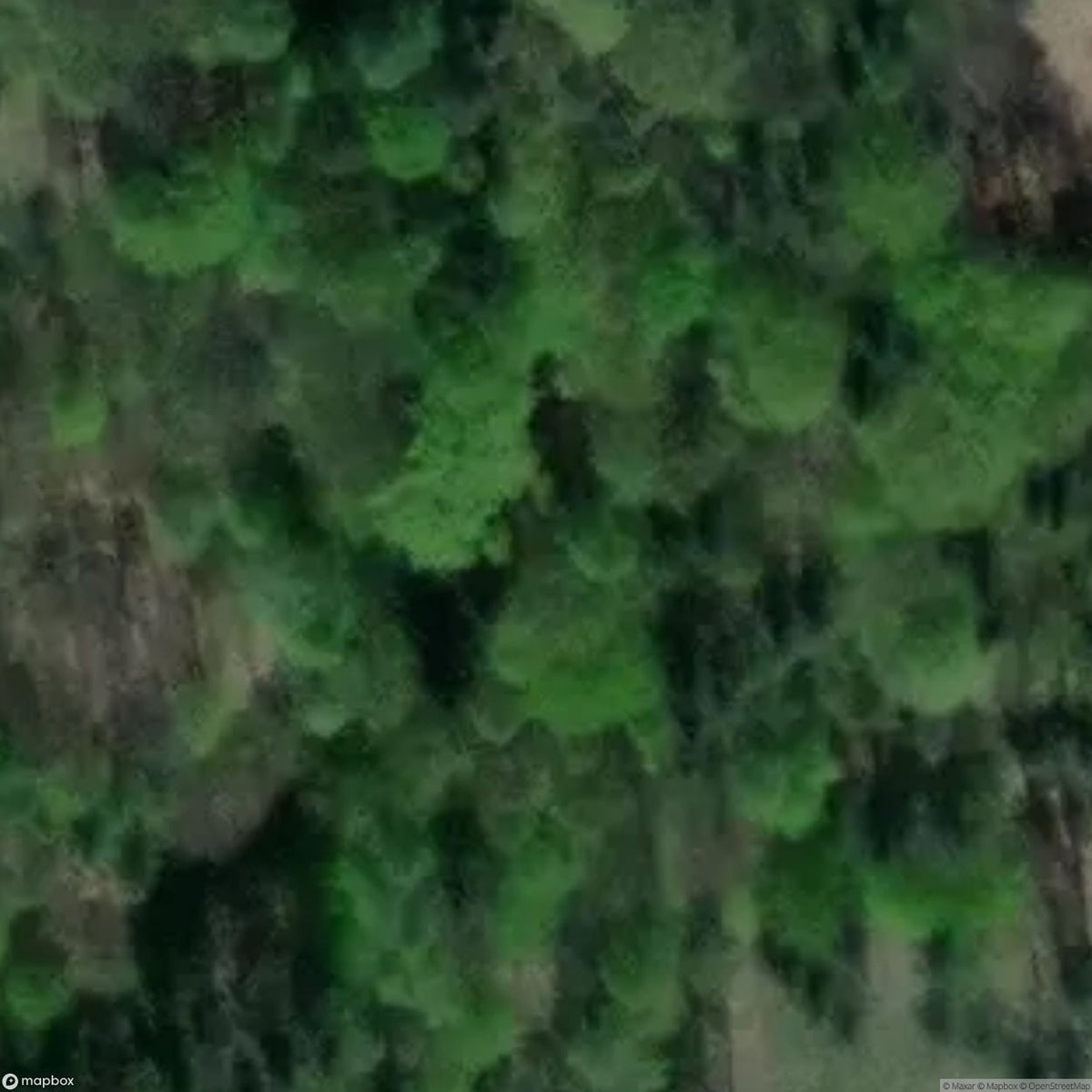 Site (Ruiny Kopalni Augusta) [POL] #27407
