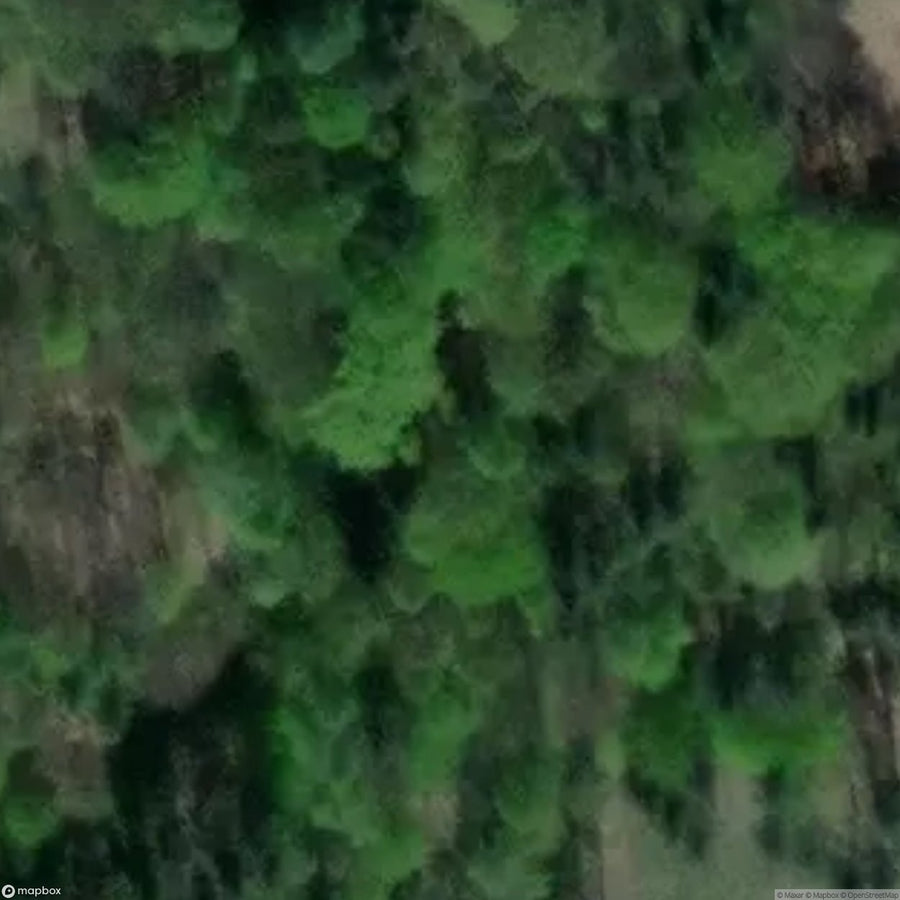 Site (Ruiny Kopalni Augusta) [POL] #27407