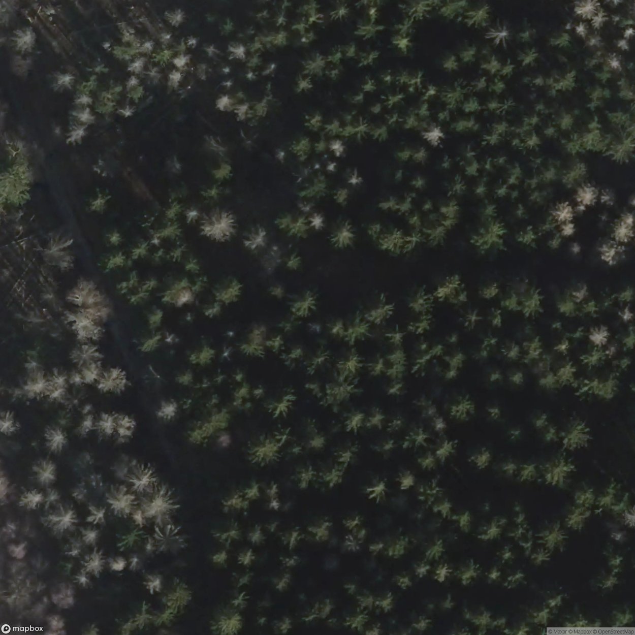 Village In The Woods [GER] #00302