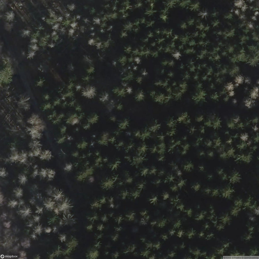Village In The Woods [DEU] #00302