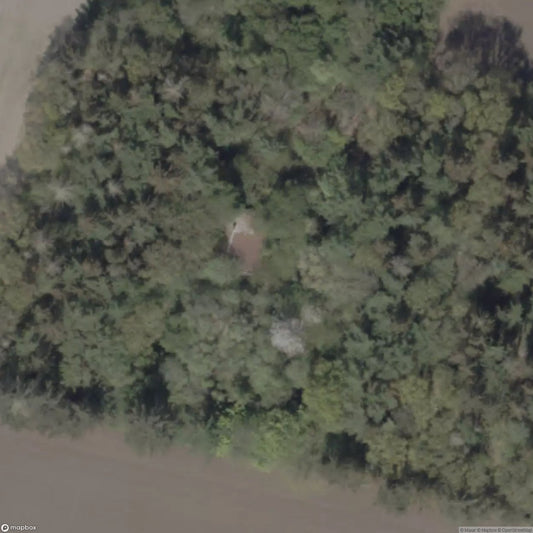 Car Dealer “Fine Cars” [DNK]