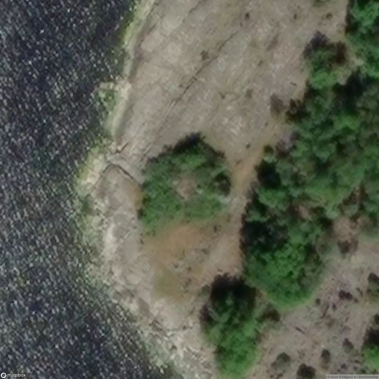 Zm Bunker [SWE] #15698