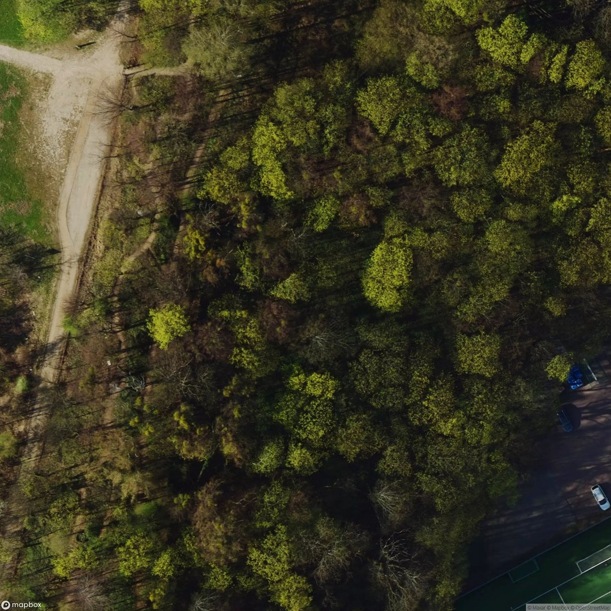 Historic Cemetery Gdansk Wrzeszcz [POL] #2020