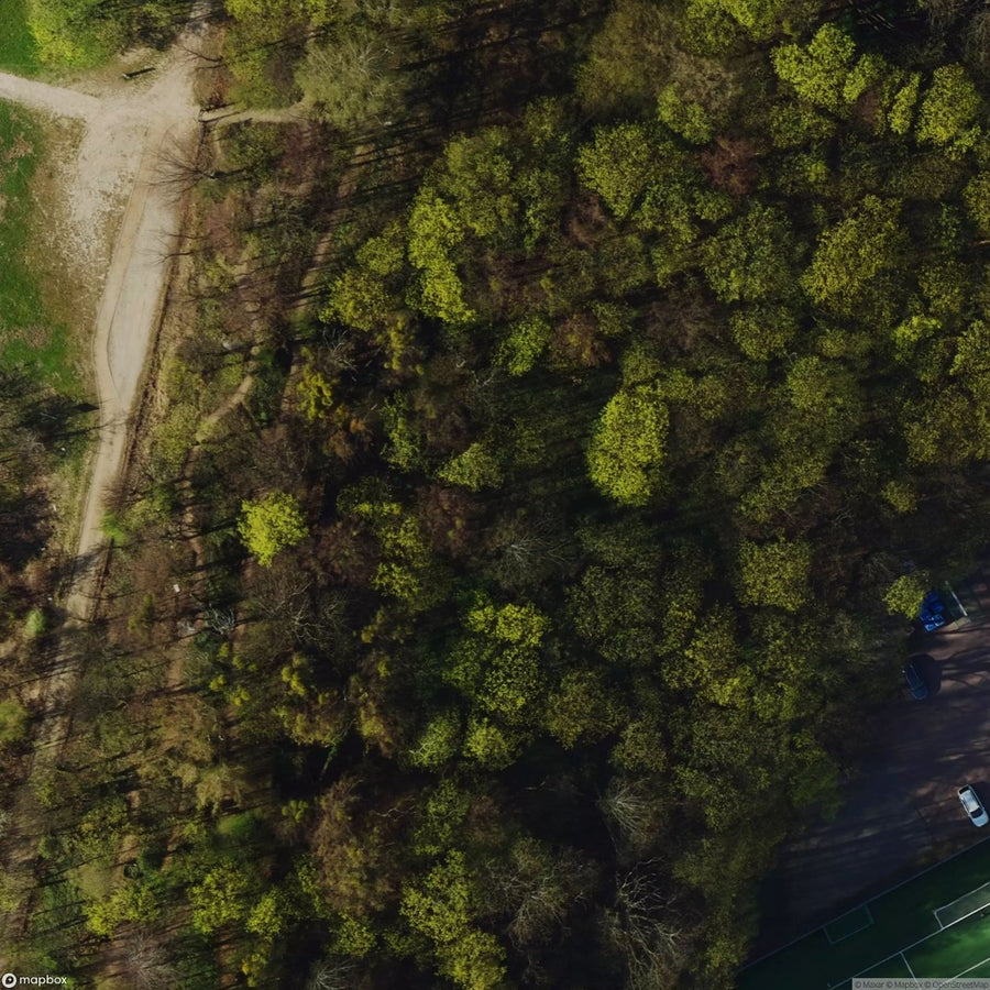 Historic Cemetery Gdansk Wrzeszcz [POL] #2020