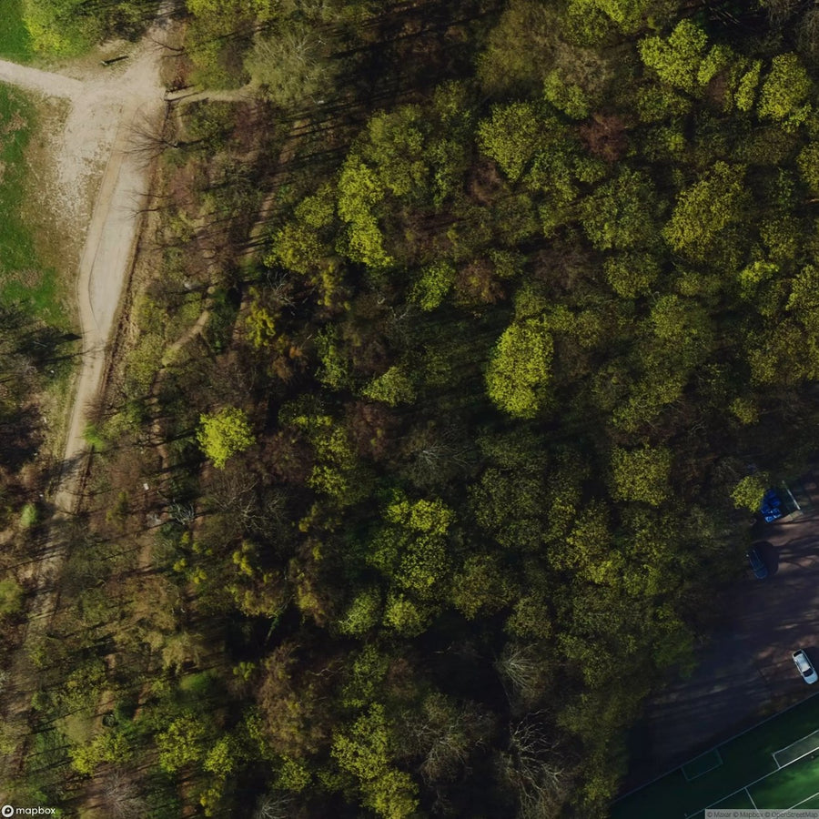 Historic Cemetery Gdansk Wrzeszcz [POL] #2020