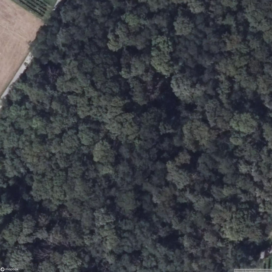 State Asylum Brandenburg In Teupitz [DEU] #08397