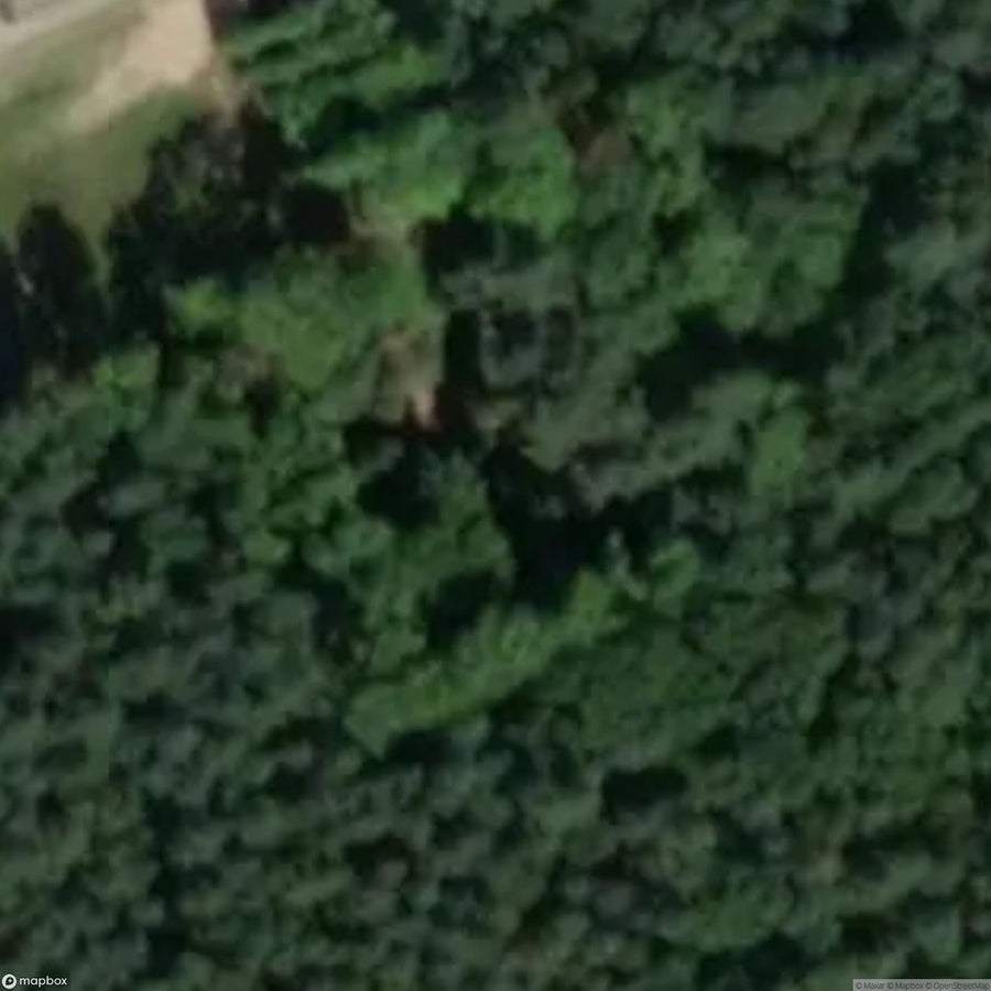 Historic Cemetery Soviet Army Cemetery [POL] #35881