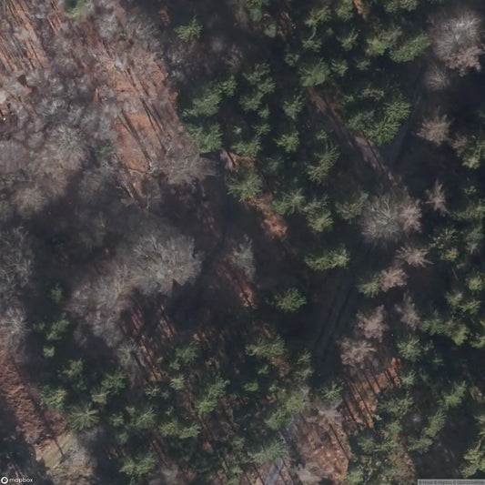 Water Bunker Simmerath Westwall [DEU]