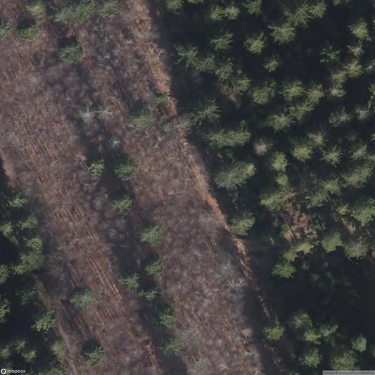 4x WW2 Bunkers Simonskall / Simmerath [DEU]