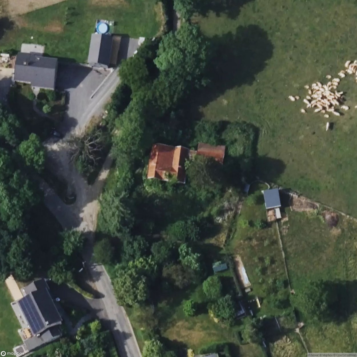 Little Green House [BEL]