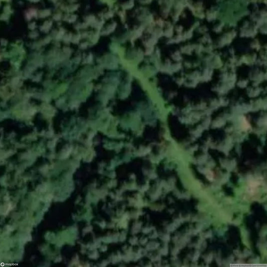 Remains of Wehrmacht Shooting Range [DEU]