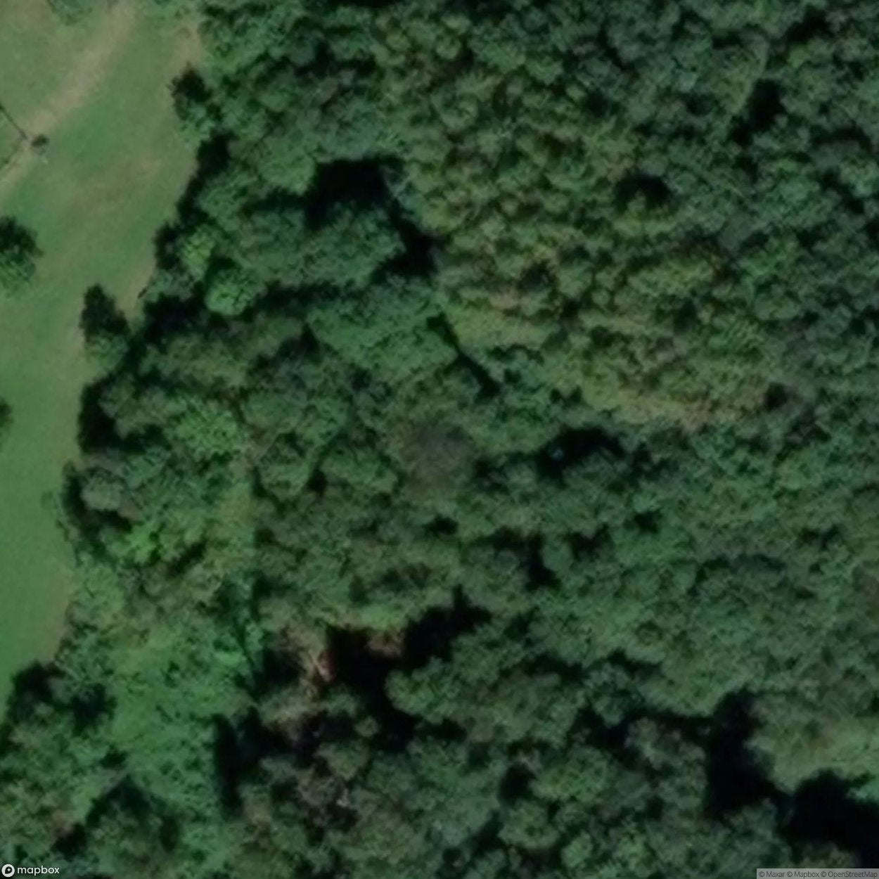 Castelnuovo Castle [ITA]