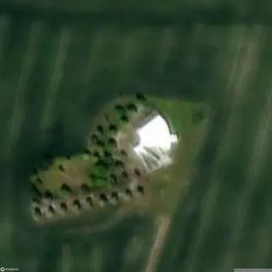 Fruit Market 2467 [AUT]