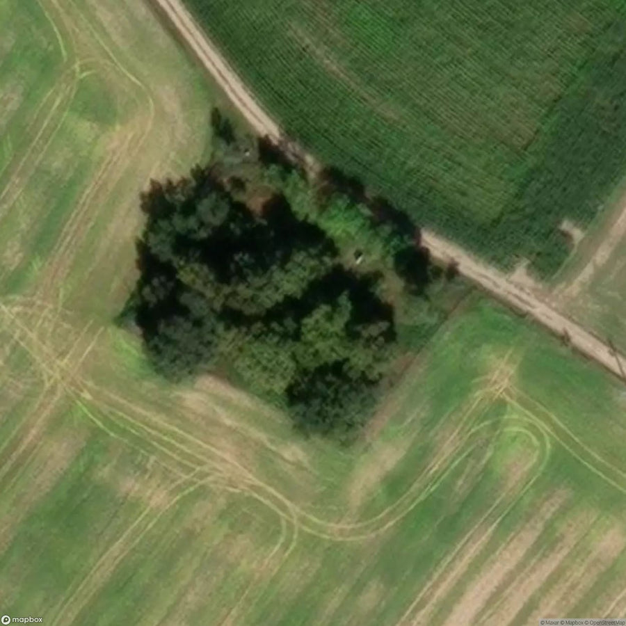 Historic Cemetery Evangelical Cemetery Zabno [POL] #2039