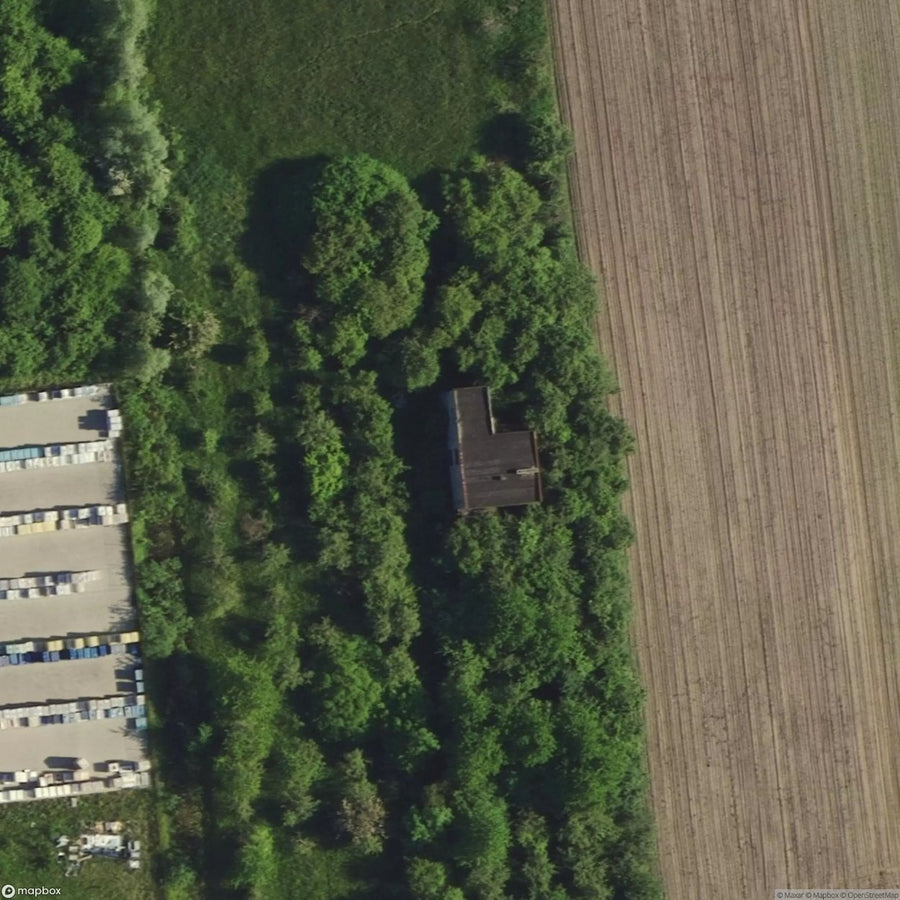 Palace Naliboksk Forest [POL] #24595