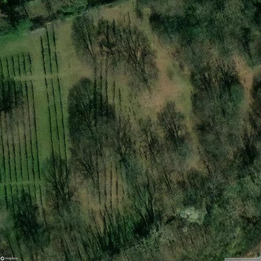 Jewish Cemetery Alsbach [DEU]