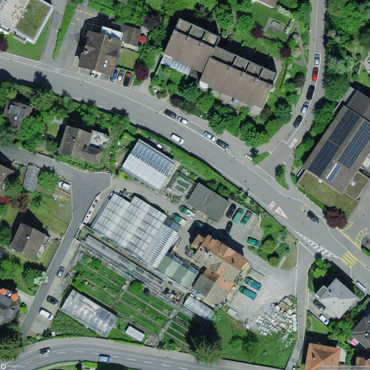 Nursery Horgen ZH [CHE]