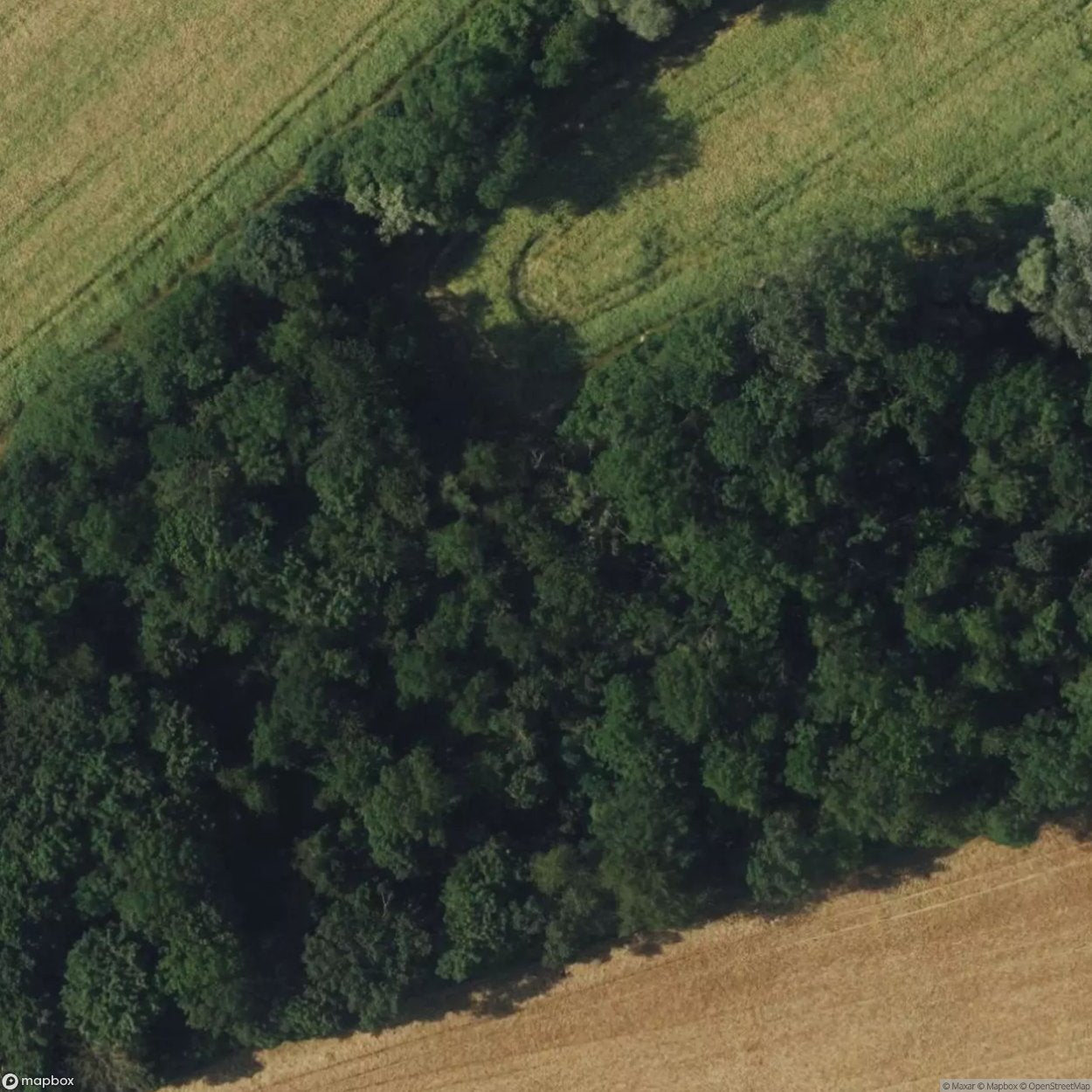 Bunker Remains [AUT] #17354