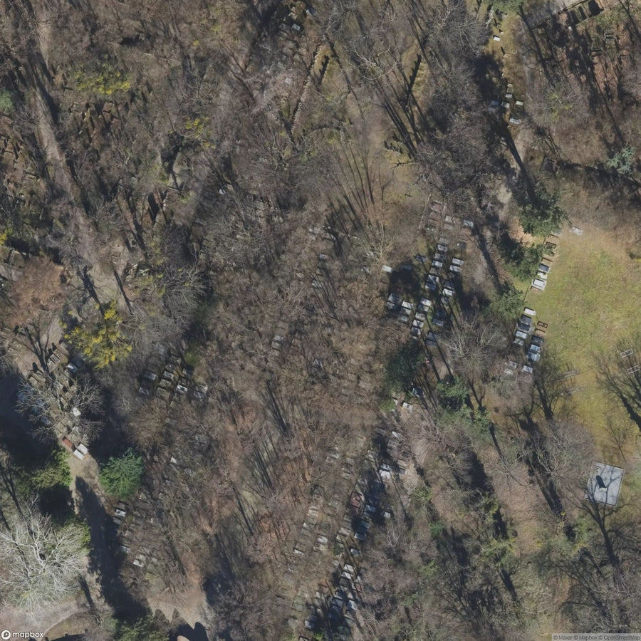 Historic Cemetery Wroclaw [POL] #1995