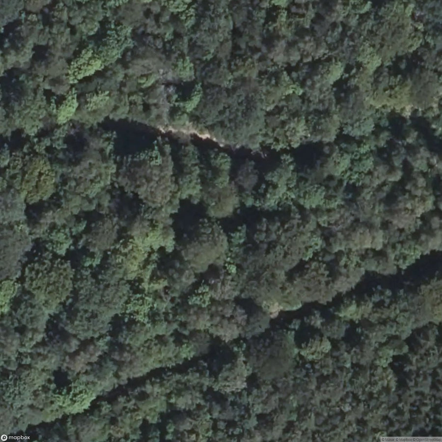 Hartmannsweilerkopf Battlefield [FRA] #16290