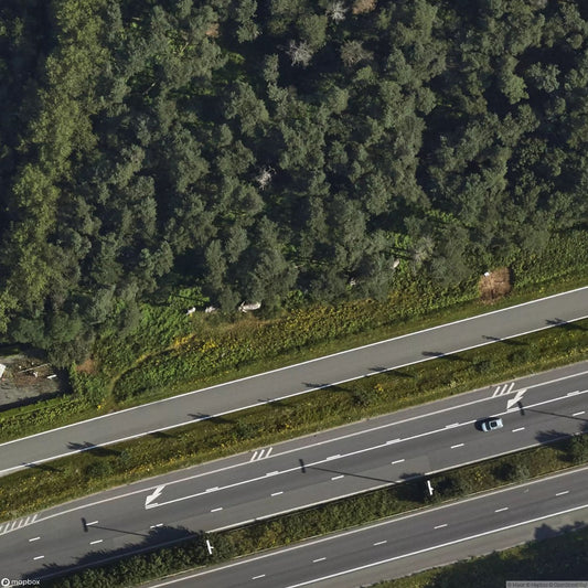 Elephant column sculpture [BEL]