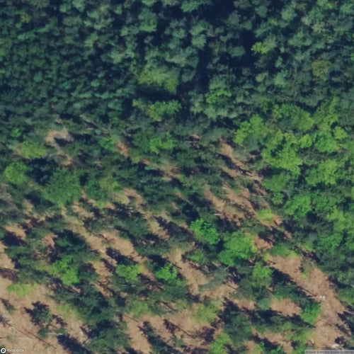 Henneburg Castle Ruins [AUT] #21698