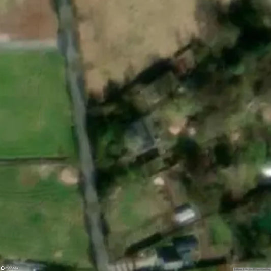 The Cute Factory [BEL]