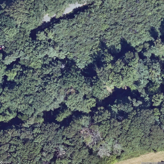 Alter Märchenwald Dingden [DUI] - UrbexNow