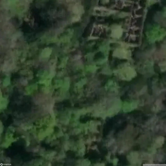 Baron Hill Mansion  [GBR] - UrbexNow