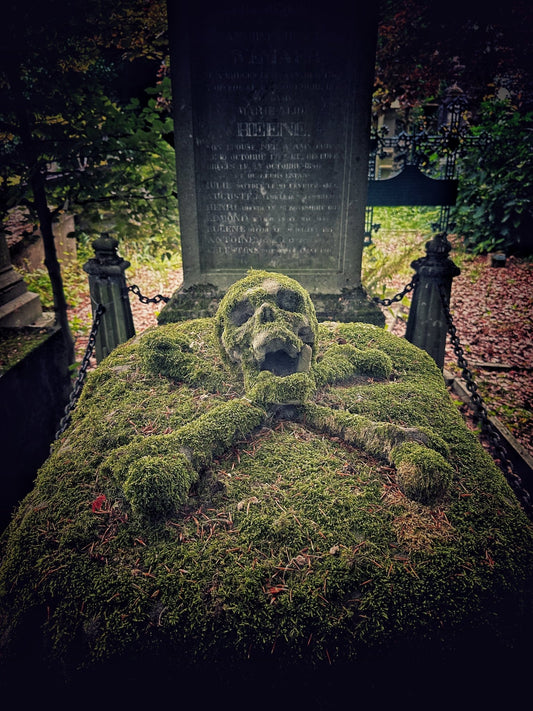 Cemetery of the skull [BEL] - UrbexNow