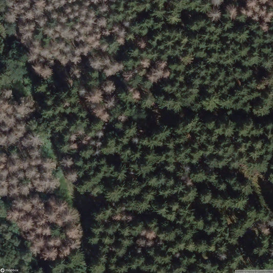 Dorf in da Wood [DUI] - UrbexNow