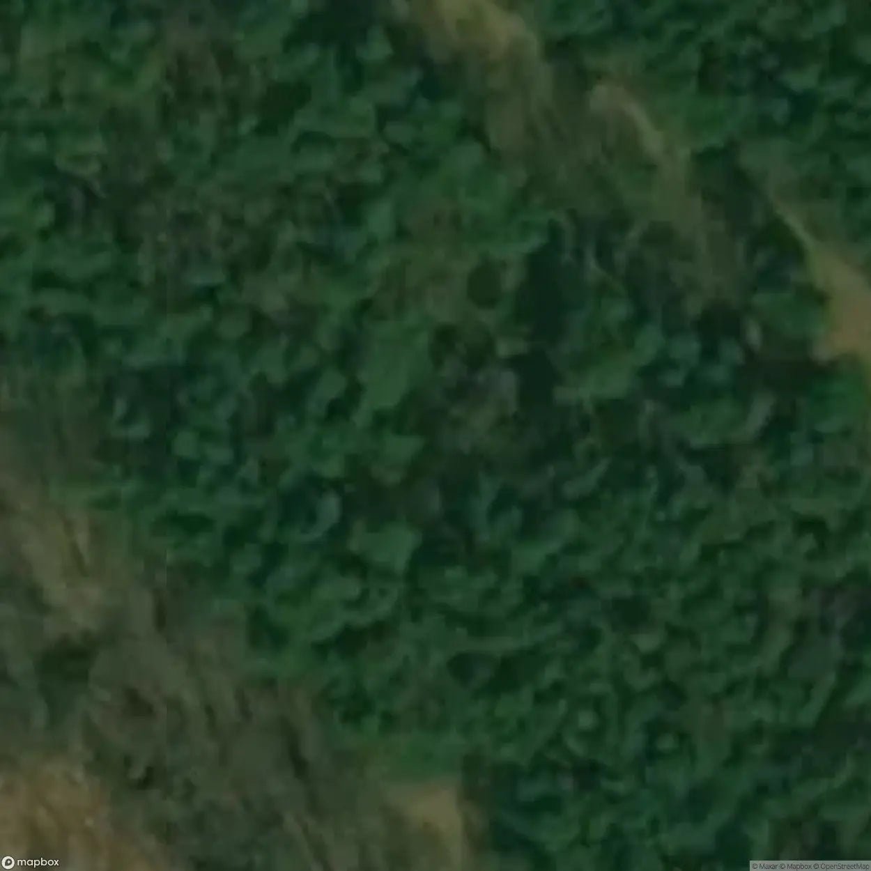 House in the woods [POL] - UrbexNow