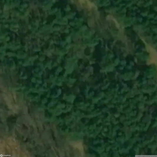 House in the woods [POL] - UrbexNow