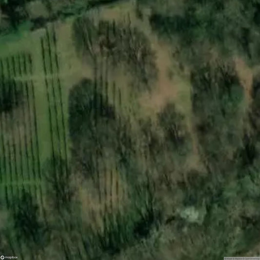 Jüdischer Friedhof Alsbach [DUI] - UrbexNow